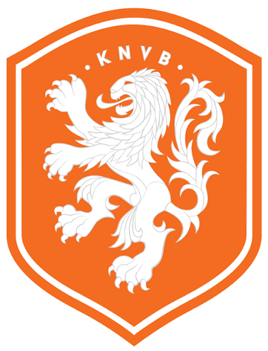 希少】96-97 オランダ代表 ユニフォーム L KNVB ライオン透かし 希少