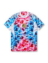 BAPE × adidas カラーカモ ジャージ