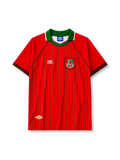 1994-96シーズン ウェールズ代表 ホームユニフォーム アンブロ