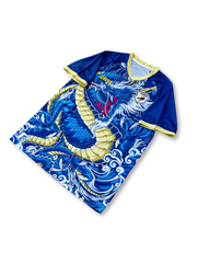 日本代表 ブルードラゴン スペシャルエディション ユニフォーム