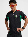 メキシコ 2010 アウェイジャージ