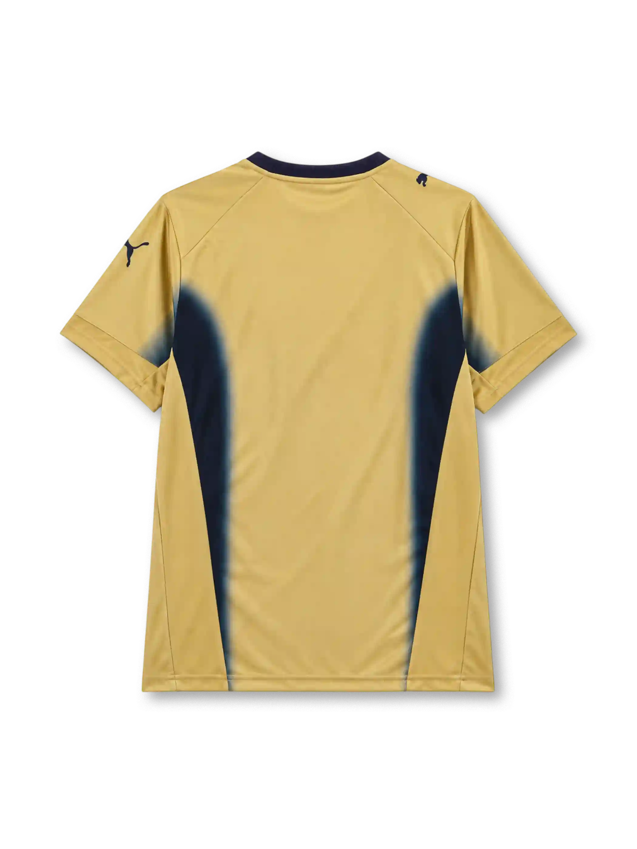 イタリア代表 2006シーズン ゴールキーパージャージ Puma 2006W杯