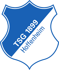 「小さな村の青白の躍進を、日常のレイヤーへ。」  TSG 1899 Hoffenheim｜Collection logo