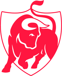 「フランデレンの誇りを、日常のレイヤーへ。」 Belgian Pro League｜Collection logo