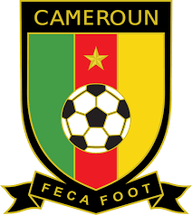 「不屈のライオンの緑を、日常のレイヤーへ。」 Cameroon｜Collection logo