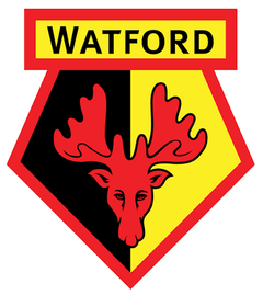 「黄と黒の羽音を、日常のレイヤーへ。」 Watford FC｜Collection logo