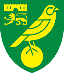 「黄色い翼の誇りを、日常のレイヤーへ。」 Norwich City｜Collection logo