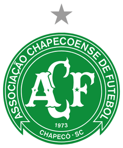 「南部の緑を、日常のレイヤーへ。」 Chapecoense｜Collection logo