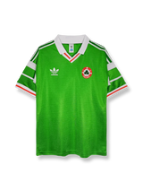 1988/90シーズン アイルランド ホーム